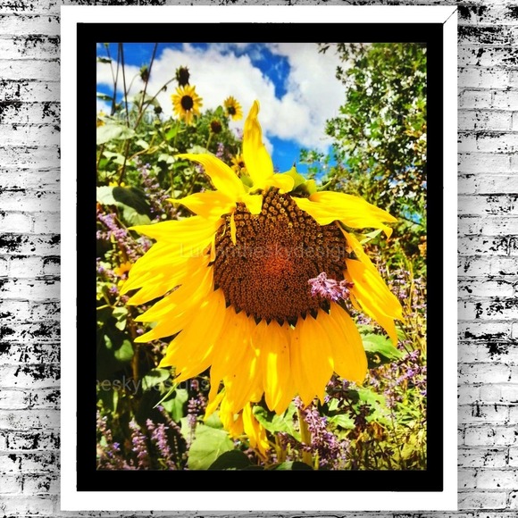 Handmade Other - Sunflower Wildflower Landscape Nature Art Print Photography 8.5x11